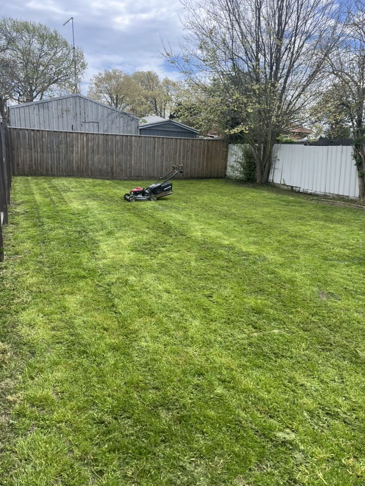 Freshly mowed back lawn
