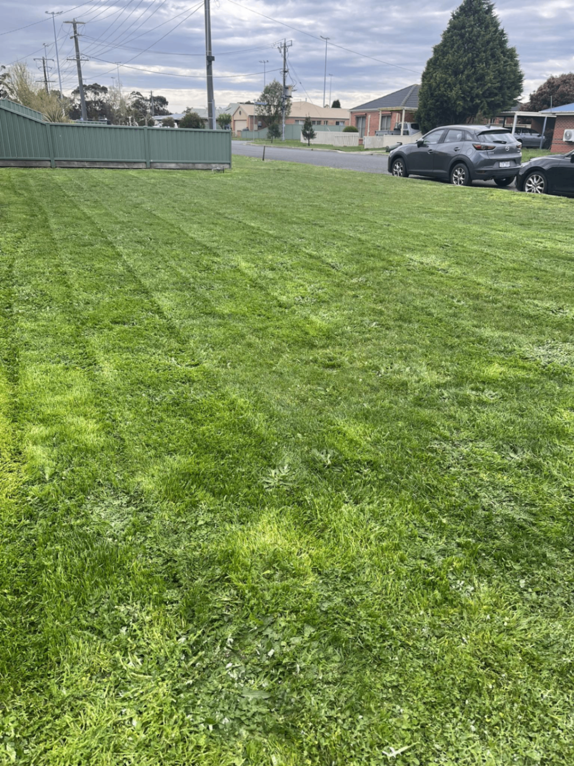 Crisp green Ballarat lawn after a fresh cut