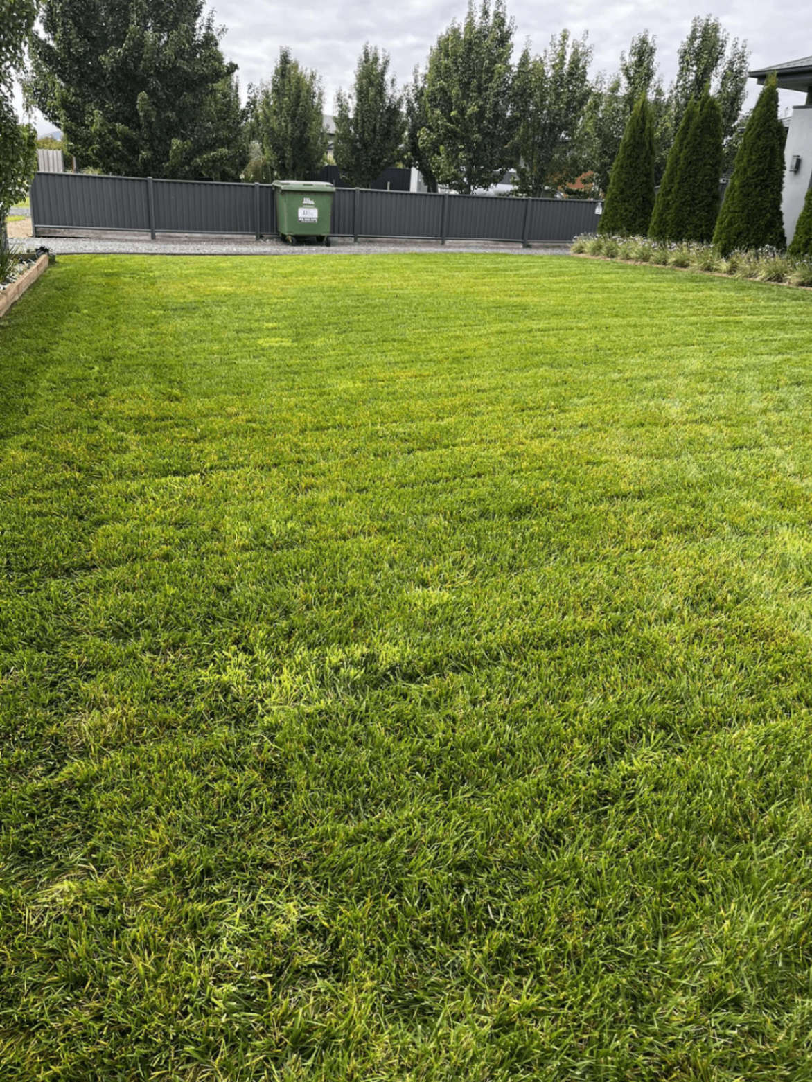 Lawn with striped mowing pattern